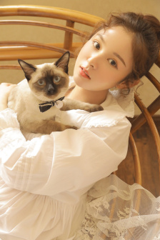 美丽小蜜蜂1